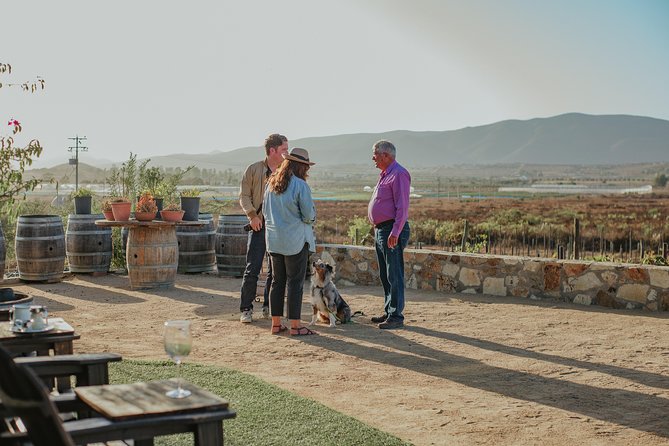 Xecue Wine Tasting in the Guadalupe Valley - Accessibility and Directions