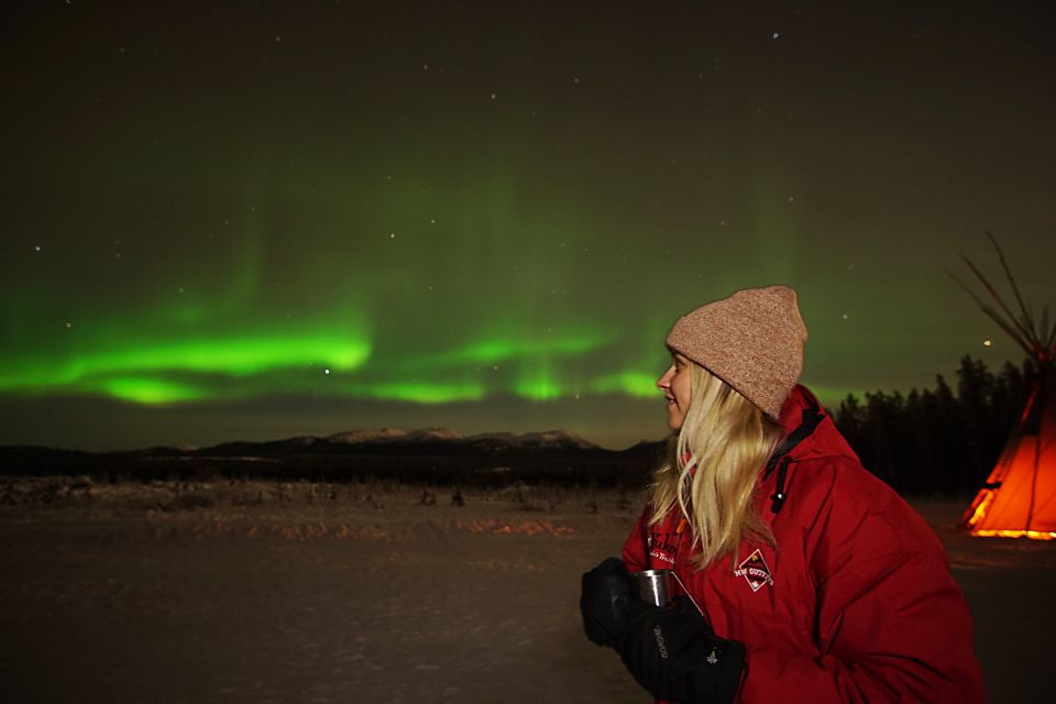 Yukon: Aurora Borealis Late Night Viewing Tour - Important Information