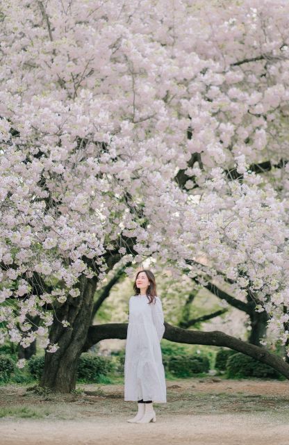 An Intimate Journey Through Tokyo's Hidden Gems With Mimi - Relish Tokyos Beauty Through Mimis Lens