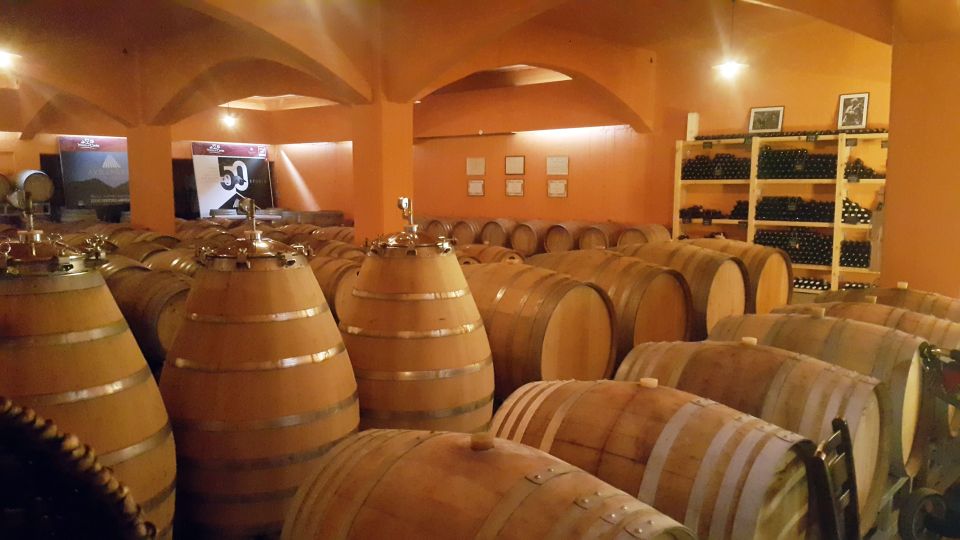 Best Wines of Heraklion Crete - Half Day Tasting Group Tour - Common questions
