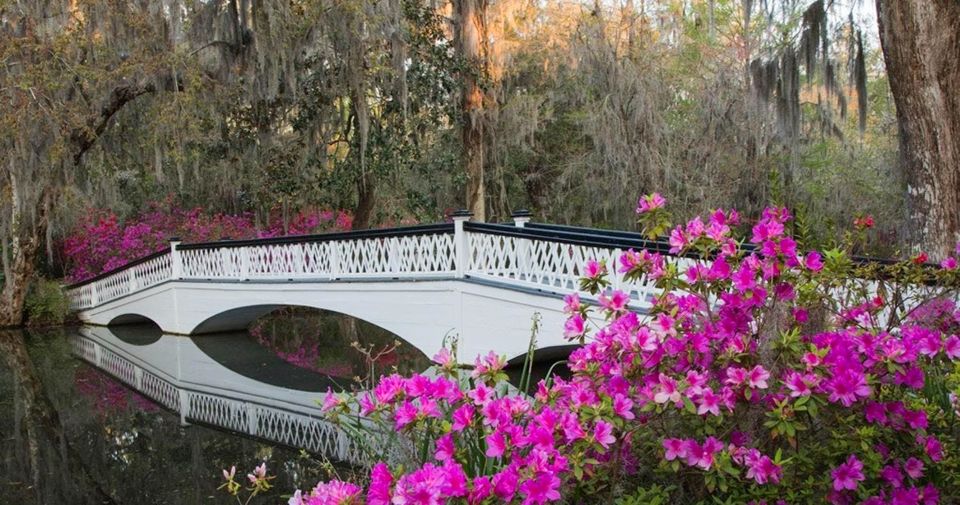 Charleston: Magnolia Plantation Entry & Tour With Transport - Common questions
