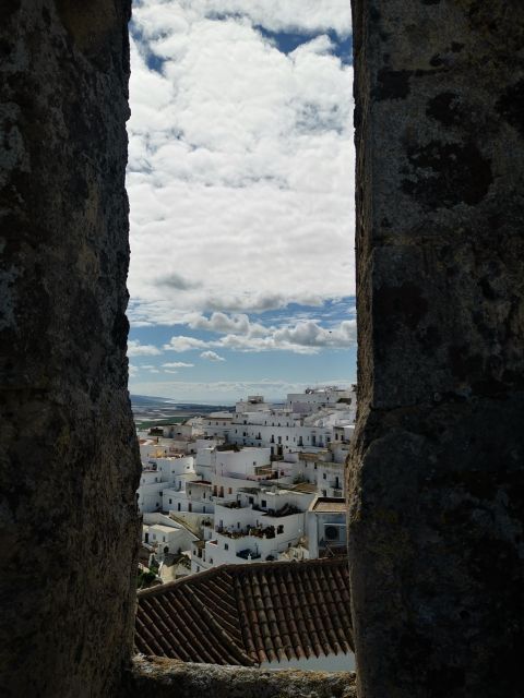 Coastal White Villages and Beaches Private Tour From Seville - Important Reminders and Recommendations