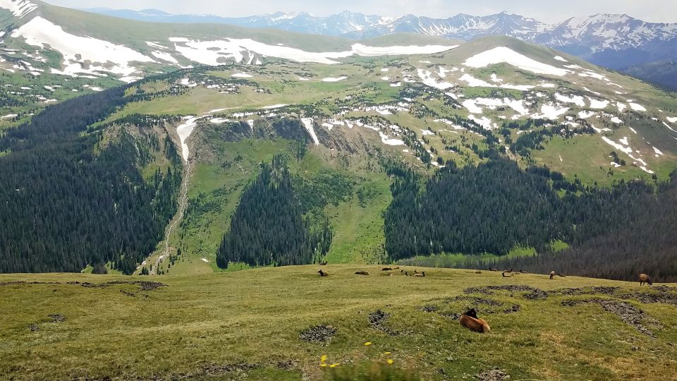 Denver: Rocky Mountain National Park Tour With Picnic Lunch - Final Words