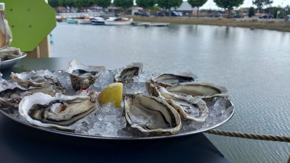 Dune Du Pilat and Oysters Tasting ! What Else ? - Final Words