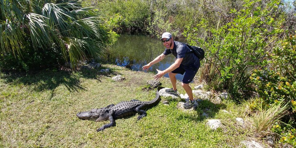 Everglades Airboat Ride & Guided Hike - Highlights