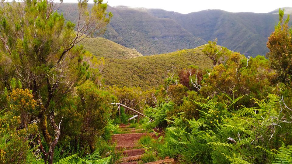 Fanal / Whistlers - Levada Walk - Final Words