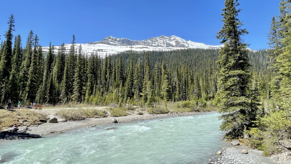 From Calgary: Banff & Yoho National Parks Private Day Tour - Final Words