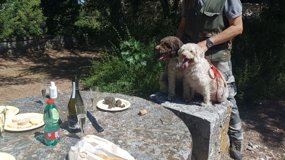 From Florence: Truffle Hunt and Lunch in the Countryside - Customer Review