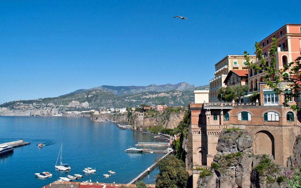 From Naples: Private Tour to Pompeii, Sorrento, and Positano - Tour Details