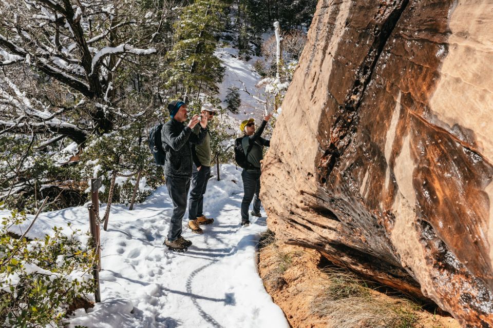 From Springdale: 4-hour Zion Canyon Scenic Hiking Tour - Final Words