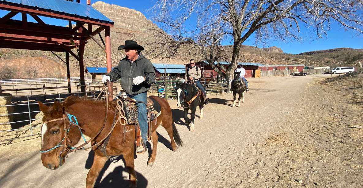 Horseback Ride Thru Joshua Tree Forest With Buffalo & Lunch - Common questions