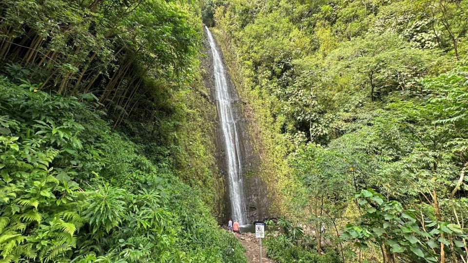 Manoa Falls Ebike to Hike - Highlights