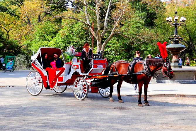 New York City: Central Park Private Horse-and-Carriage Tour - Common questions