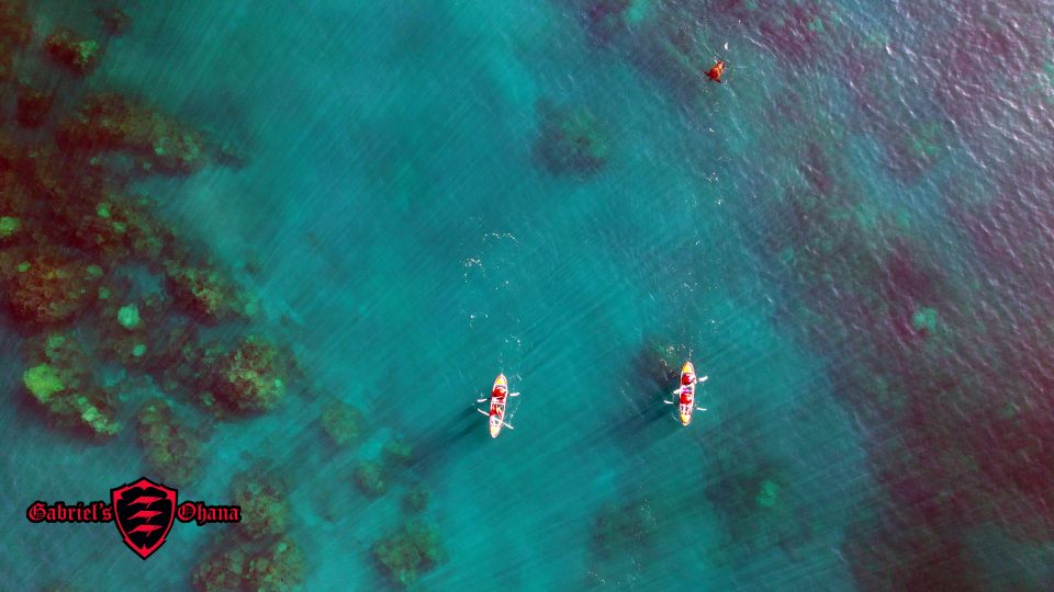 Olowalu: Guided Tour Over Reefs in Transparent Kayak - Final Words