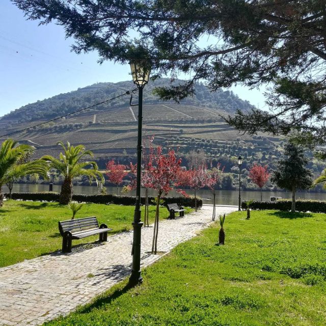 Private Tour: Douro Valley Wine and Food From Oporto - COVID-19 Precautions and Reservation Option