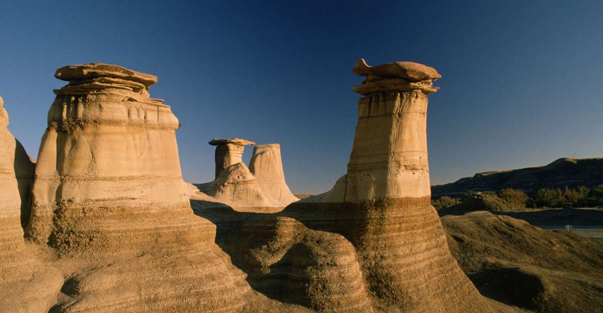 From Calgary: Drumheller and Badlands Tour - Group Size and Language