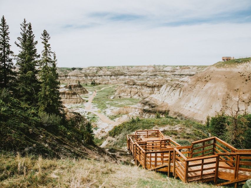 From Calgary: Guided Day Tour to Drumheller - Common questions