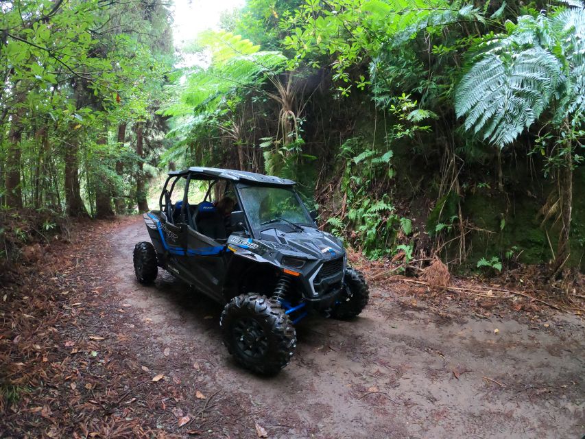 Funchal: Private Off-Road Buggy Tour With Guide & Transfers - Common questions