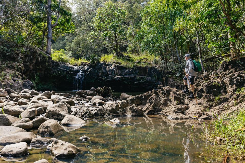 Maui: Hike to the Rainforest Waterfalls With a Picnic Lunch - Final Words