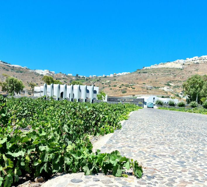 Santorini: Authentic Private Wine Tasting Tour - Common questions
