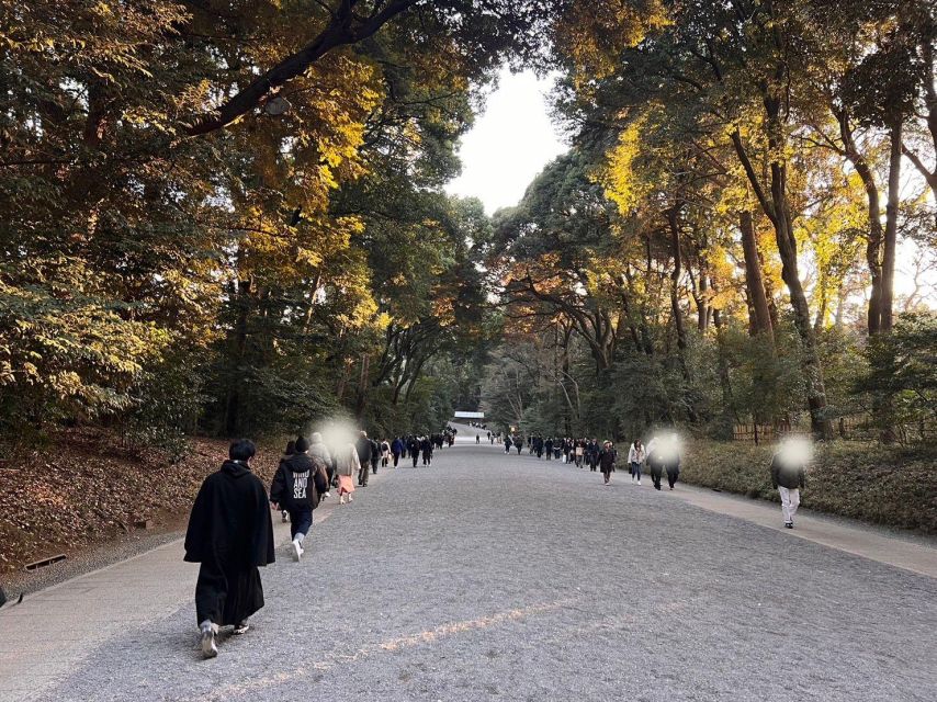 Tokyo Harajuku Meiji Jingu Shrine 1h Walking Tour - Common questions