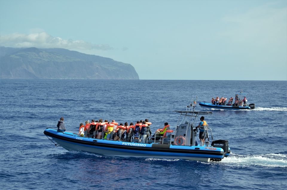 Whale and Dolphin Watching With Vila Franca Islet Visit - Final Words