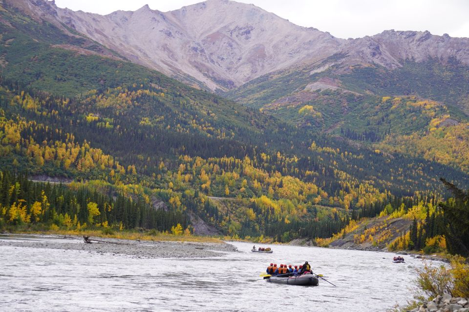 Alaska: Denali National Park Class I-II Rafting Tour - Tour Highlights