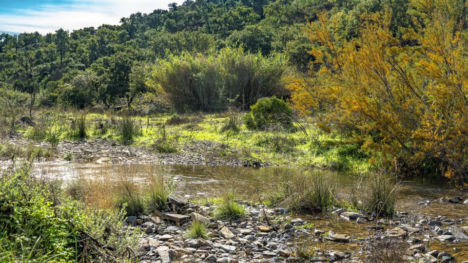 Albufeira: Full Day Off-Road Buggy Tour With Lunch & Guide - Key Points