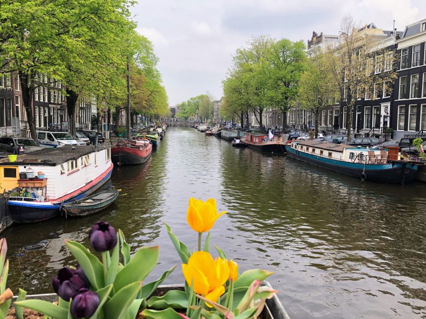 Amsterdam Walking Tour With a Comedian as Guide: City Centre - Key Points
