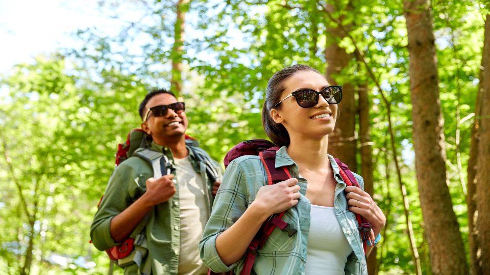 Blue Ridge Parkway (South): Driving Tour With Audio Guide - Key Points