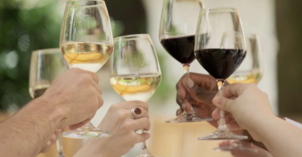 Bordeaux : Full Day Wine Tastings & Lunch - Key Points