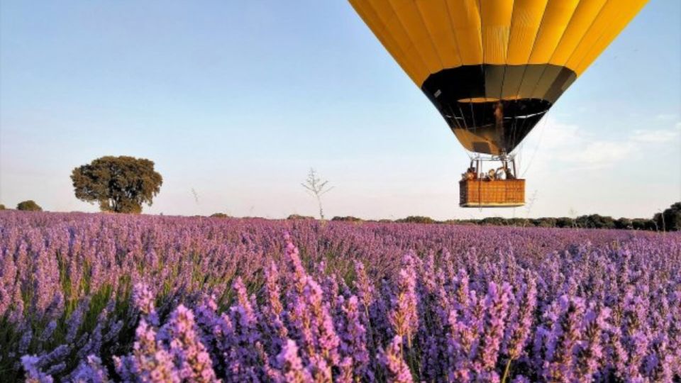 Brihuega: Balloon Flight Above Lavender Fields - Key Points