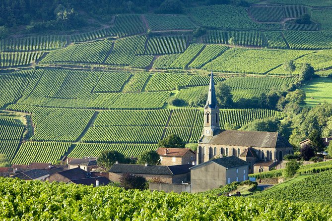 BURGUNDY : Unique Wine Tour From PARIS (Day-Trip by TGV - High-Speed Train) - Key Points