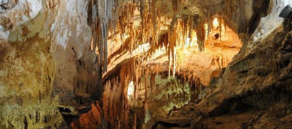 Cagliari: Is Zuddas Caves Shore Excursion - Tour Details