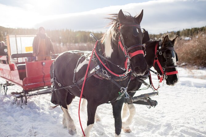Christmas Horse-Drawn Sleigh Ride From Salzburg - Key Points