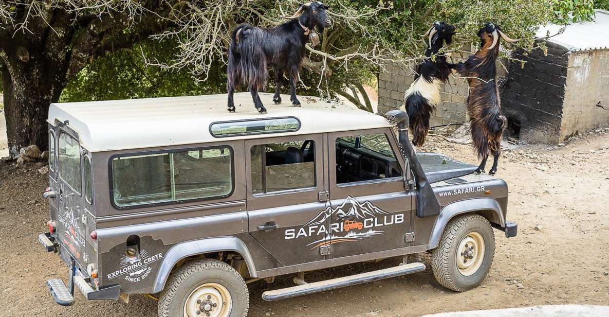 Crete: Land Rover Safari on Minoan Route - Key Points
