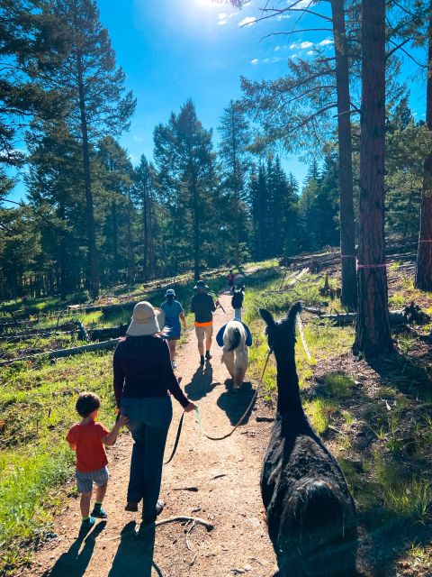 Denver: Llama Hike in the Rocky Mountains - Activity Details