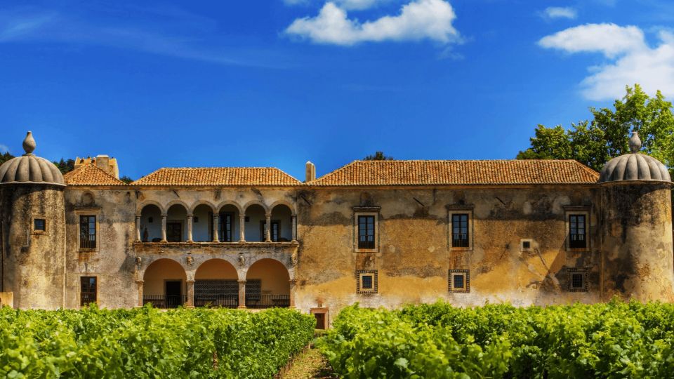 Discover Arrábida: Wine and Scenic Wonders - Key Points