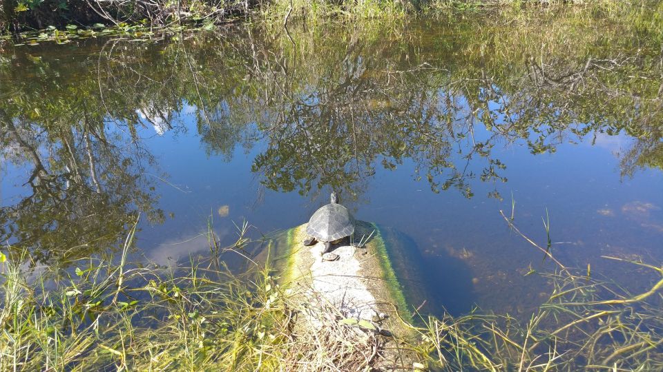 Everglades Airboat Ride & Guided Hike - Activity Details