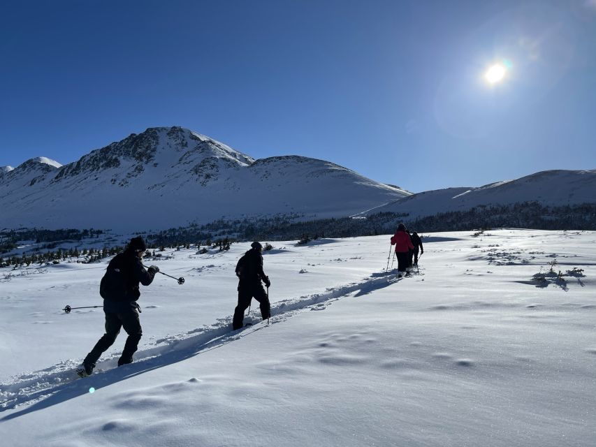 From Anchorage: Glen Alps Beginners Snowshoeing Adventure - Tour Details