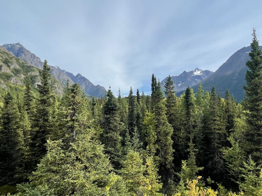 From Anchorage: Valley and Forest Hike With Naturalist Guide - Key Points