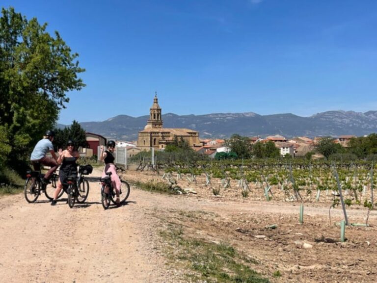 From Bilbao: La Rioja Wine Tour by E-Bike With Wine Tastings