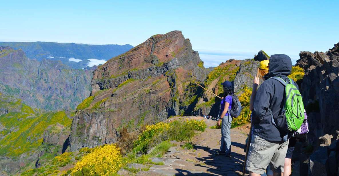 From Funchal: Madeira Peaks Mountain Walk - Key Points