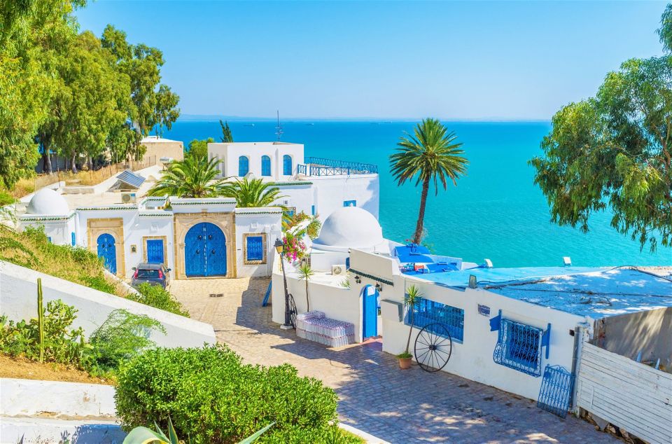 From Hammamet: Day Trip to Sidi Bou Saïd and Carthage - Key Points