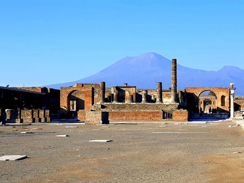 From Naples: Private Tour Vesuvius, Herculaneum and Pompeii - Key Points