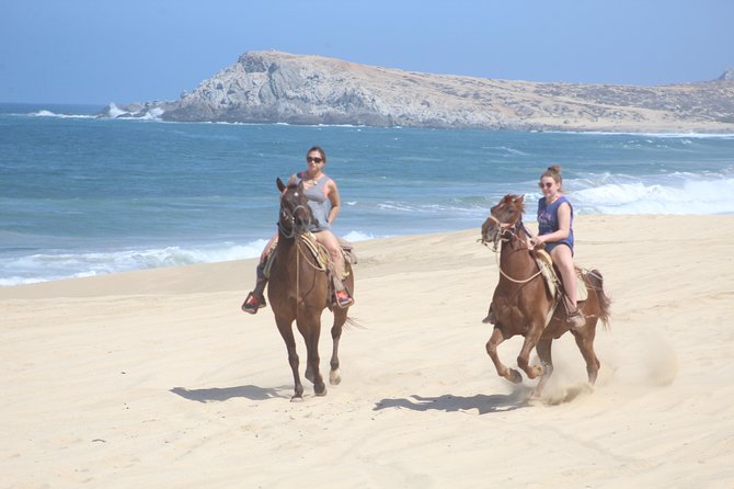 Guided Cabo Horseback Ride With Hotel Pickup  - Cabo San Lucas - Key Points