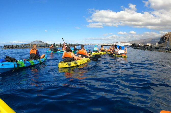 Guided Kayak Tour From Los Cristianos Beach Tenerife - Key Points