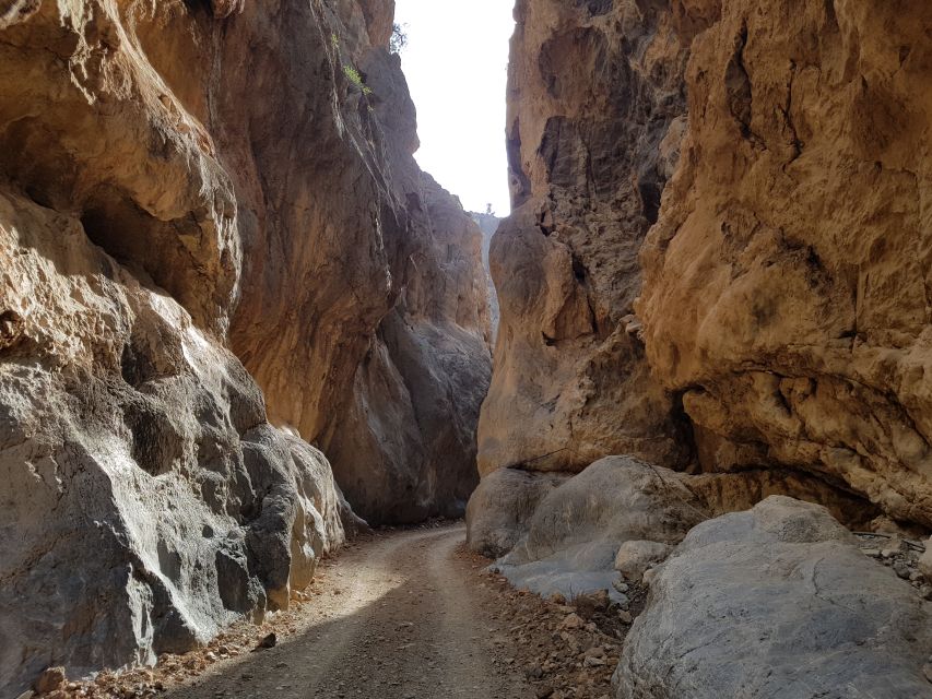 Guided Safari South Crete & Tripitis Gorge - Key Points