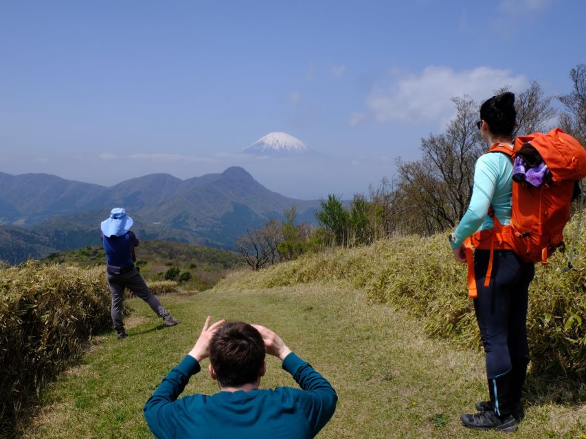Hakone: Traverse the Hakone Caldera and Enjoy Onsen - Key Points