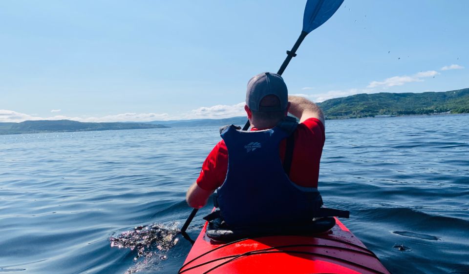 Humber Arm South: Bay of Islands Guided Kayaking Tour - Key Points